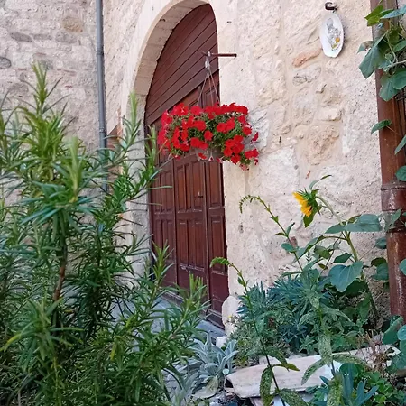Le Refuge Des Remparts Castelnau-de-Montmiral